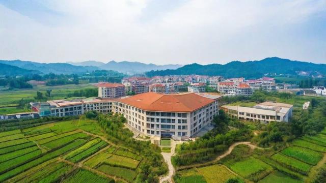 汝阳县研究生如何以乡土深耕展现人才力量与时代担当？-第2张图片-益智教育网