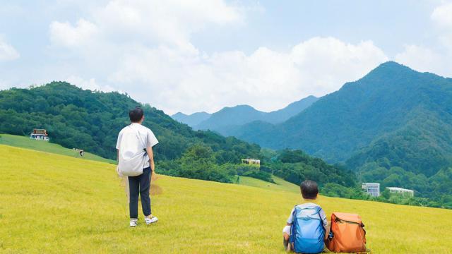 如何平衡在职研究生学习与旅游管理职业发展？-第2张图片-益智教育网