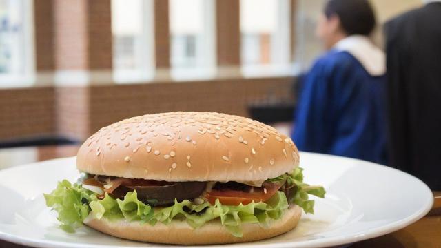 西北大学食品科学与工程研究生教育有哪些优势?-第2张图片-益智教育网 西北大学食品科学与工程研究生教育有哪些优势?-第2张图片-益智教育网