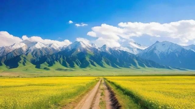 在河南考国考与新疆国考有何不同?-第1张图片-益智教育网 在河南考国考与新疆国考有何不同?-第1张图片-益智教育网